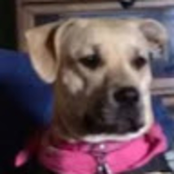 Meet your Posher, Gladys - Picture 1 of 1